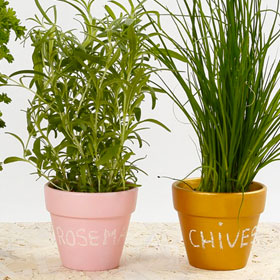 voir pot aromatique pots aromatiques